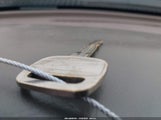 Miniaturka zdjęcia 11