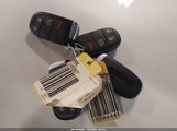 Miniaturka zdjęcia 11
