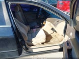 Miniaturka zdjęcia 5