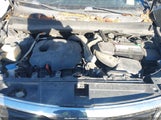 Miniaturka zdjęcia 10