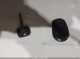 Miniaturka zdjęcia 11