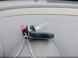 Miniaturka zdjęcia 11