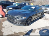 Ford Mustang Ecoboost 1FA6P8THXG5310116 снимка