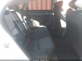 Miniaturka zdjęcia 8