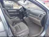 Honda Cr-V Ex-L 5J6RE4H73AL081569 photo