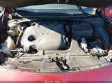 Miniaturka zdjęcia 10