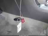 Miniaturka zdjęcia 11