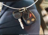 Miniaturka zdjęcia 11