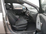 Miniaturka zdjęcia 5