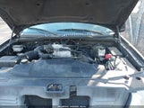 Miniaturka zdjęcia 10