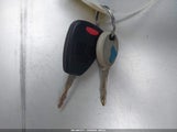 Miniaturka zdjęcia 11