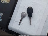 Miniaturka zdjęcia 11
