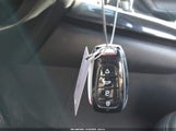 Miniaturka zdjęcia 11