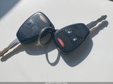 Miniaturka zdjęcia 11