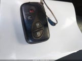 Miniaturka zdjęcia 11