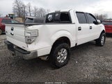 Ford F-150 Xlt 1FTFW1EF1DKF70398 снимка