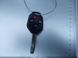 Miniaturka zdjęcia 11