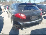 Miniaturka zdjęcia 3