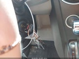 Miniaturka zdjęcia 11