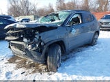 Jeep Compass Limited 4X4 3C4NJDCB3KT826905 снимка