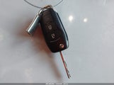 Miniaturka zdjęcia 11