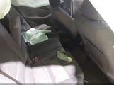 Miniaturka zdjęcia 8