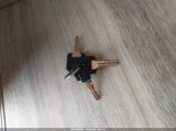 Miniaturka zdjęcia 11