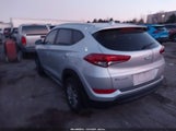 Miniaturka zdjęcia 3
