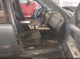 Ford Escape Xlt 1FMCU0D72AKD43127 fotografie