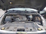 Miniaturka zdjęcia 10