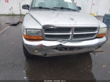 Dodge Dakota Slt 1D7GL42N13S302630 снимка