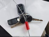 Miniaturka zdjęcia 11