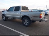 Miniaturka zdjęcia 3
