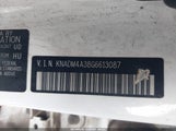 Miniaturka zdjęcia 9