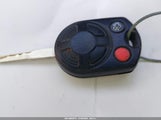 Miniaturka zdjęcia 11