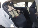 Miniaturka zdjęcia 8