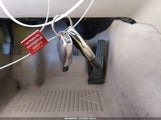 Miniaturka zdjęcia 11