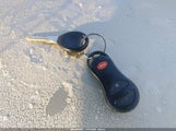 Miniaturka zdjęcia 11