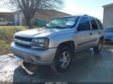 Chevrolet Trailblazer Ls 1GNDS13S942274359 снимка