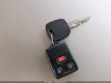 Miniaturka zdjęcia 11