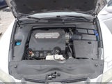 Miniaturka zdjęcia 10