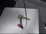 Miniaturka zdjęcia 11