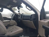 Miniaturka zdjęcia 5