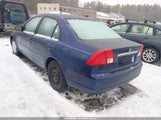 Miniaturka zdjęcia 3
