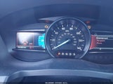 Miniaturka zdjęcia 7
