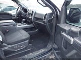 Ford F-150 Xlt 1FTEW1EP5HFC12904 снимка