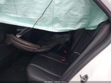 Miniaturka zdjęcia 8