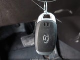 Miniaturka zdjęcia 11