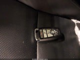 Miniaturka zdjęcia 11