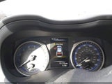 Miniaturka zdjęcia 7